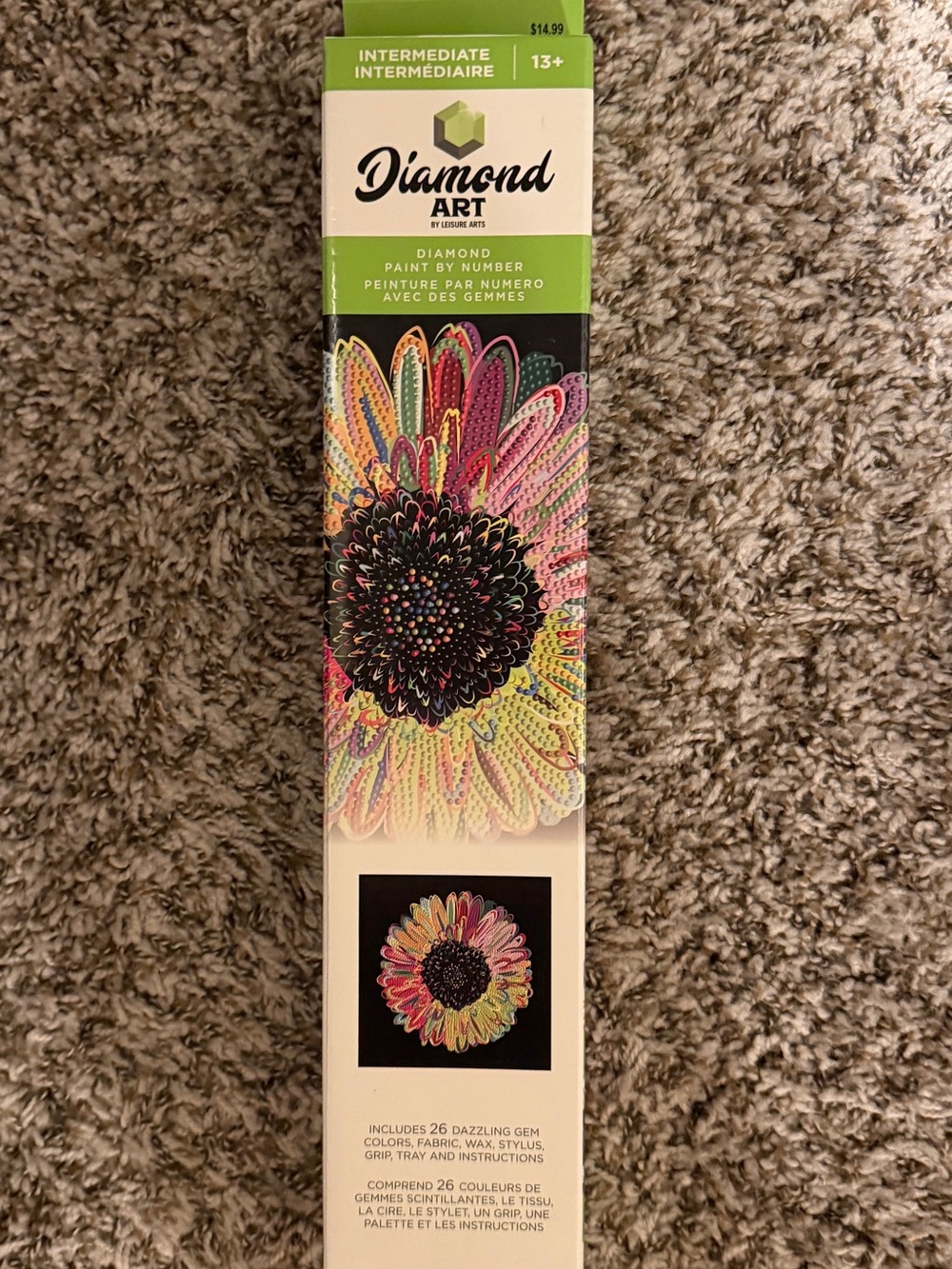 Diamond Supply Co. Multicolor Daisy Paint-by-Number Diamond Art